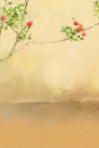 亚洲女足冠军赛：中国队壮举取胜