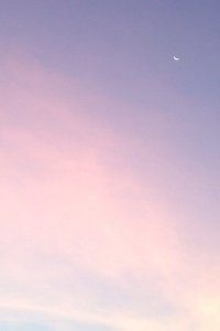 塞尔维亚男篮队再添佳绩，勇夺金牌