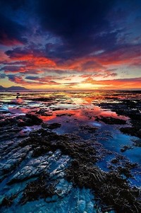 猛龙新秀帕斯卡尔表现出色，成为球队亮点之一