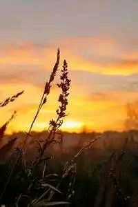 阿莱格利去留未定，意大利抱憾出局！