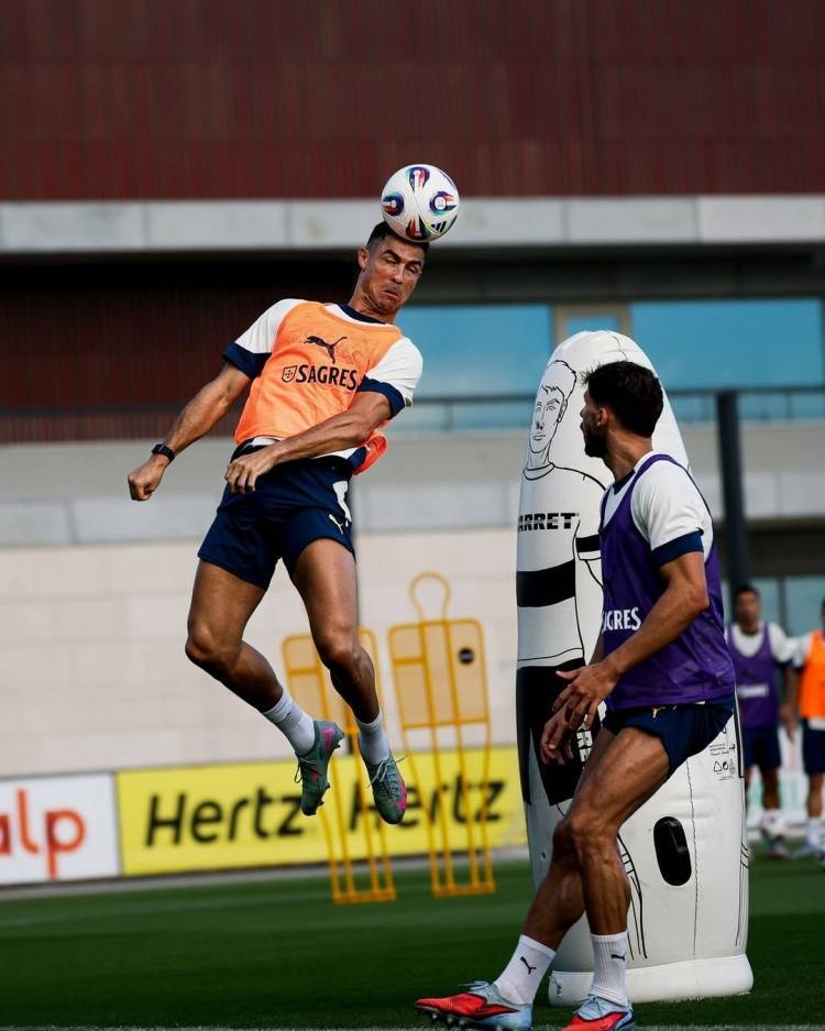 关于国家队备战世预赛，球员们展现出色状态的信息